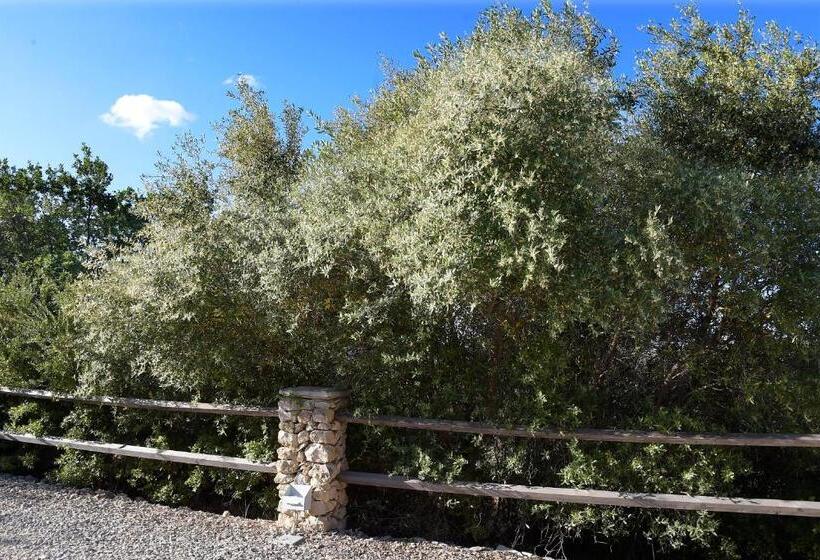 آپارتمان 2 خوابه, Tenuta Busulmone Con Piscina Val Di Noto Villa & Suits