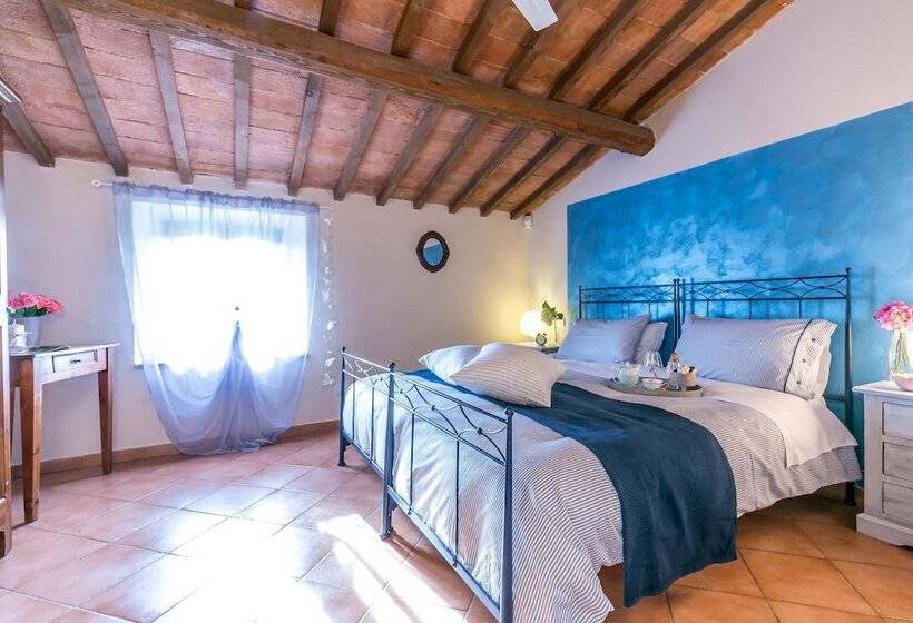 Номер Стандарт, Il Vignolino