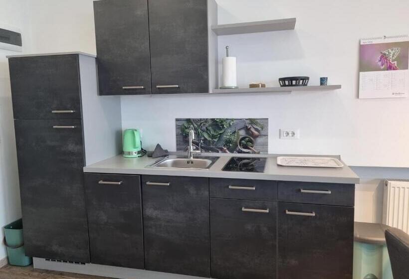 带露台的小型套房, Appartements Graf Hartwig