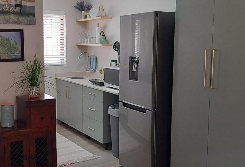 Апартаменты Классик 1 Спальня, 22 On Port Natal Hartenbos