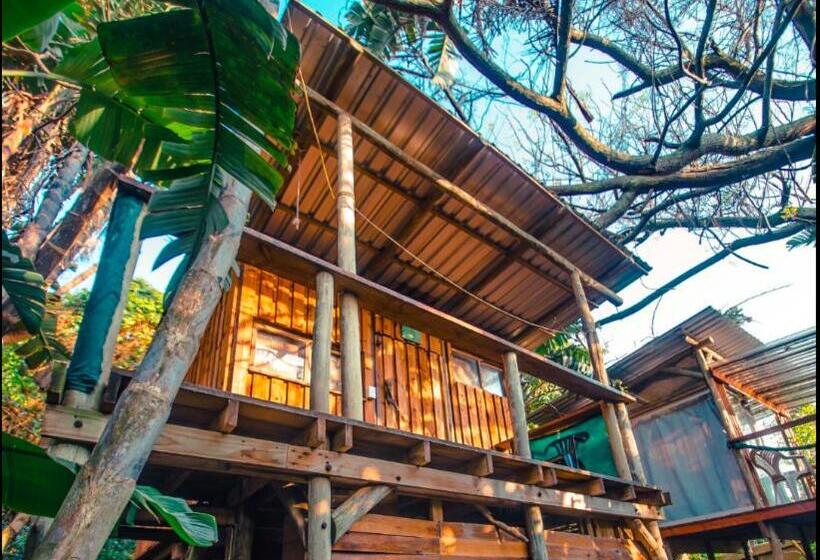 Четырехместный Номер Deluxe, Mantis And Moon Surf Paradise & Adventure Lodge