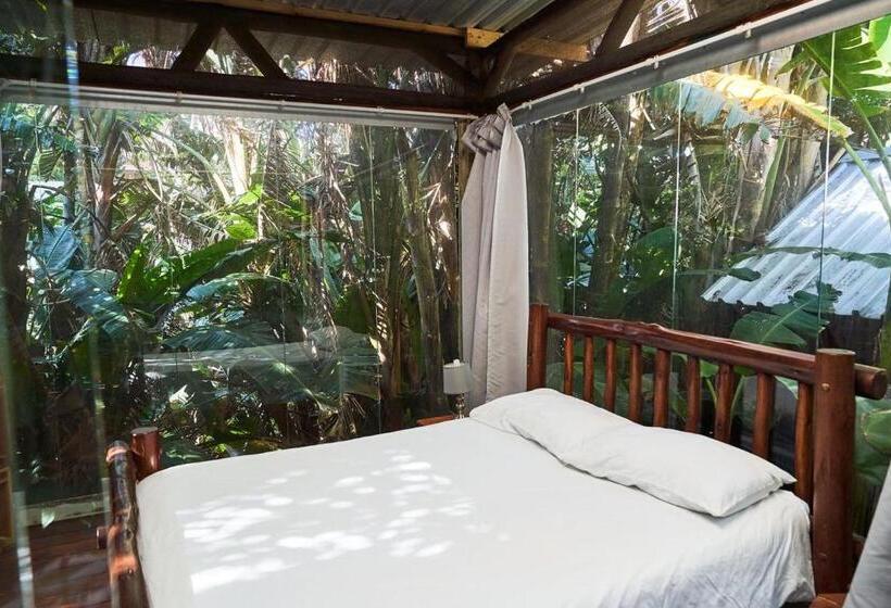 Номер Стандарт, Mantis And Moon Surf Paradise & Adventure Lodge