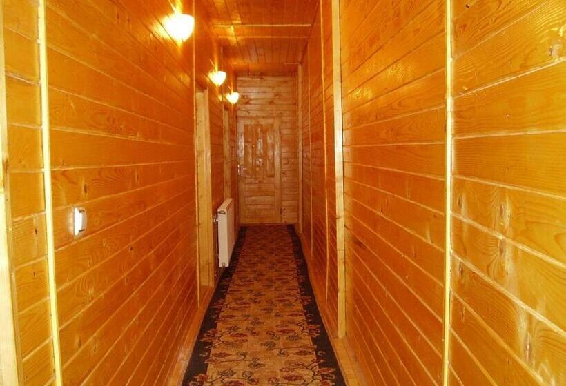 Семейный Номер, Pension Bran Ioana