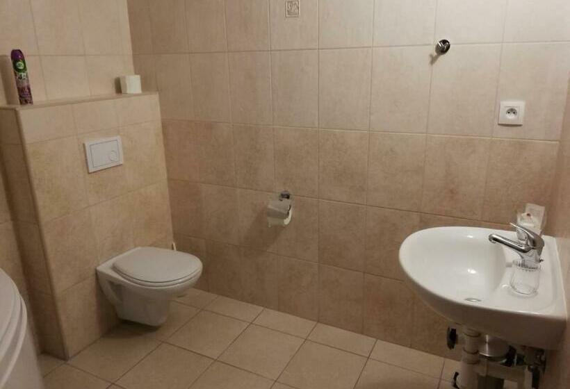 스탠다드 룸, Motel Senec