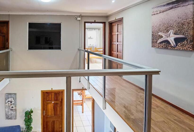 Номер Стандарт, Ballito Backpackers