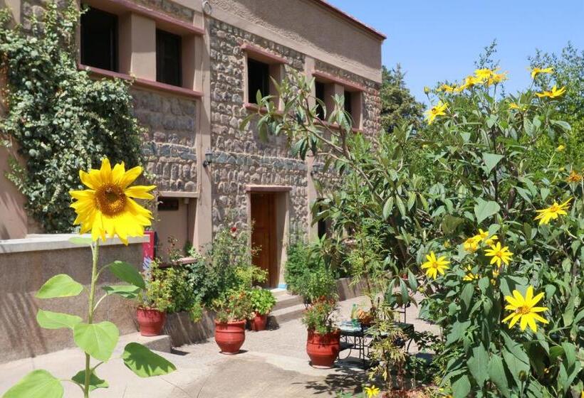 سوییت, Soleil Imlil