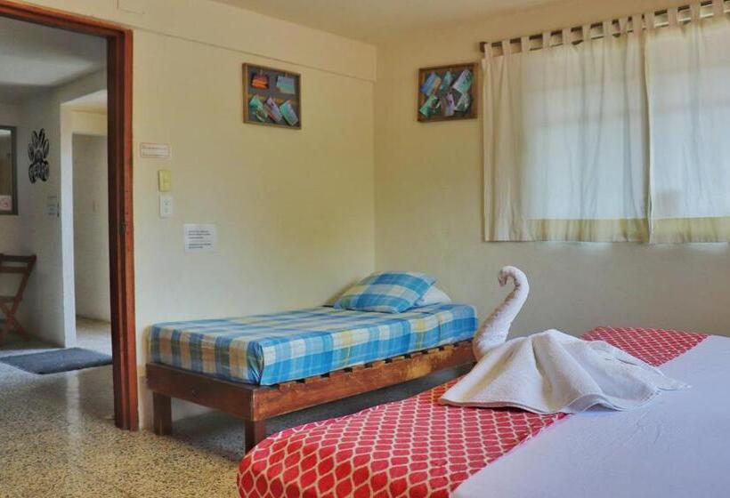 バスルーム共有のトリプルスタンダード, Hostal & Suites Pata De Perro
