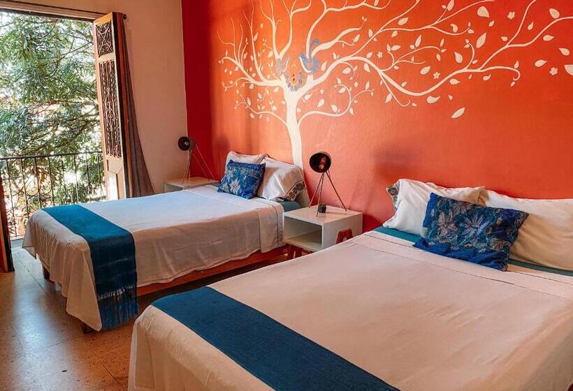 Номер Deluxe, Azul Cielo Hostel