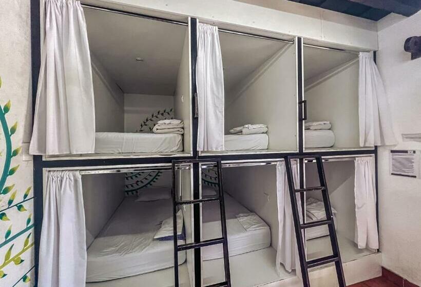 تختخواب در اتاق مشترک, Hostal Antigüeño