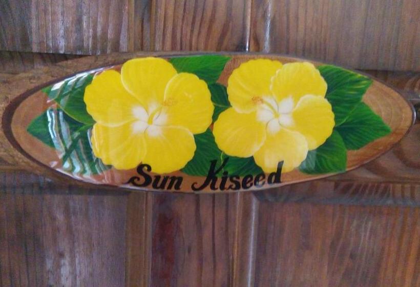 스탠다드 룸 킹사이즈 침대, Hibiscus House Bed And Breakfast