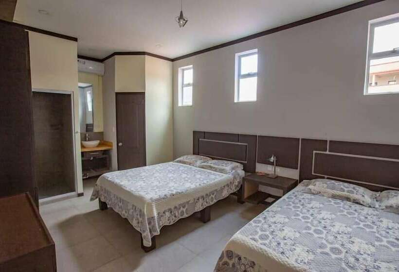 اتاق لوکس, Celebertti