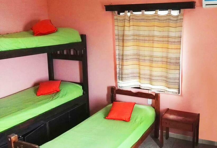 Номер Стандарт Трехместный, Planet Punta Del Este Hostel