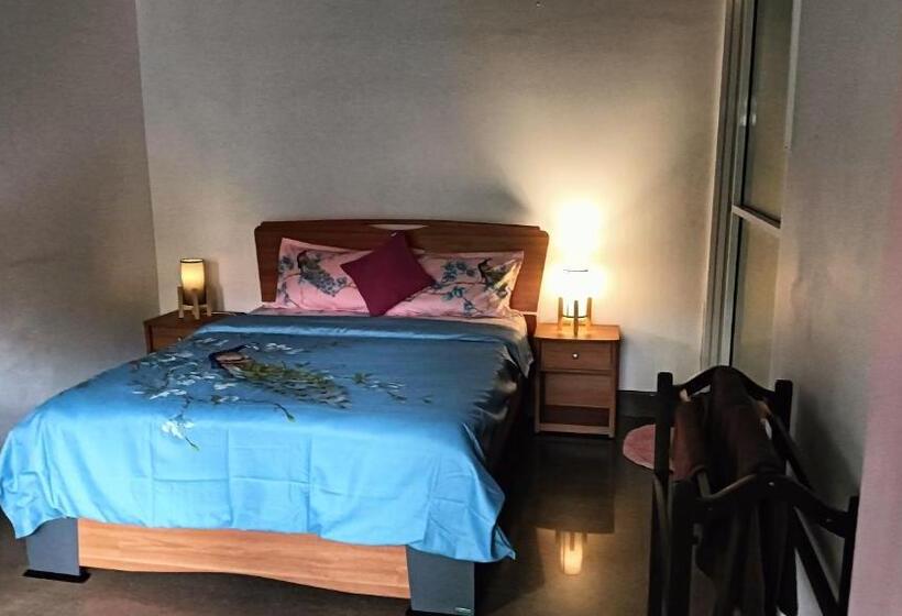 标准间, Palms Villa