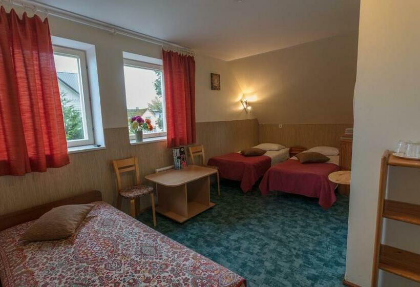 اتاق استاندارد سه نفره, Endla Hotell