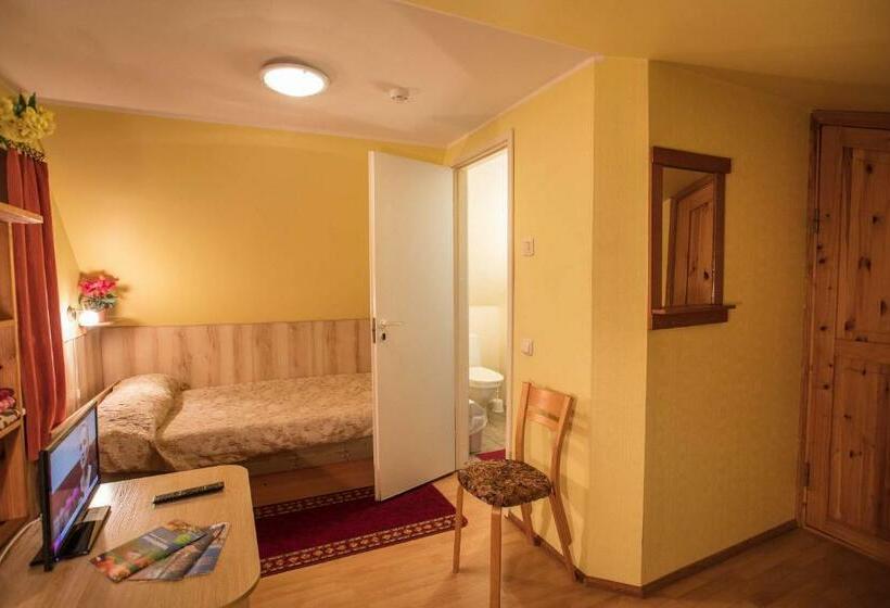 اتاق استاندارد یک نفره, Endla Hotell