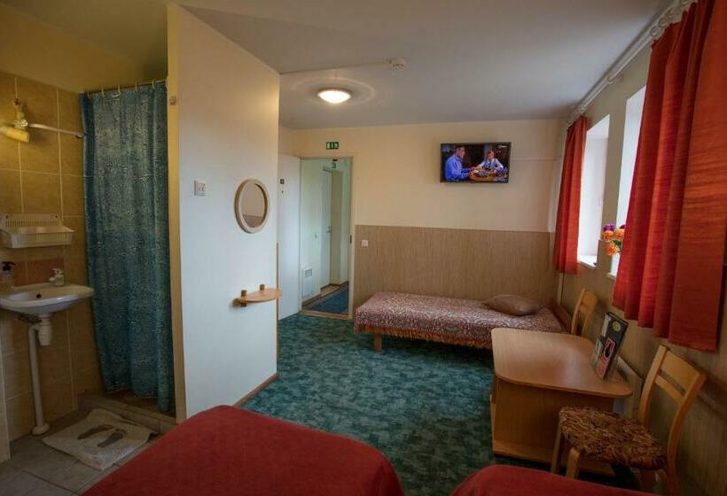 اتاق استاندارد سه نفره, Endla Hotell