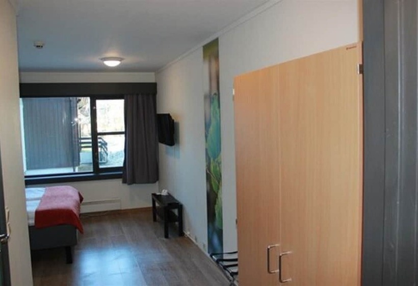 غرفة قياسية, L Fritidsparken