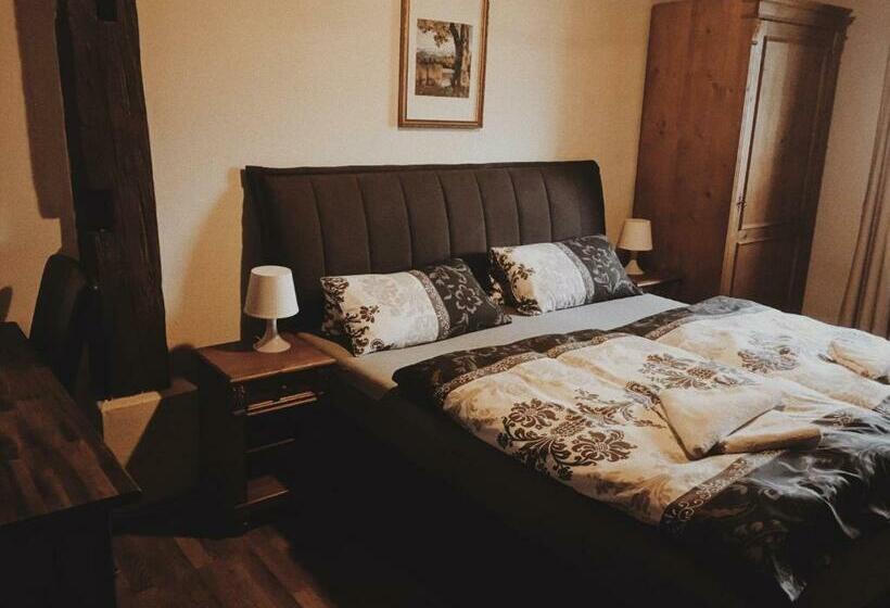 Номер Стандарт, Sokolský Dům