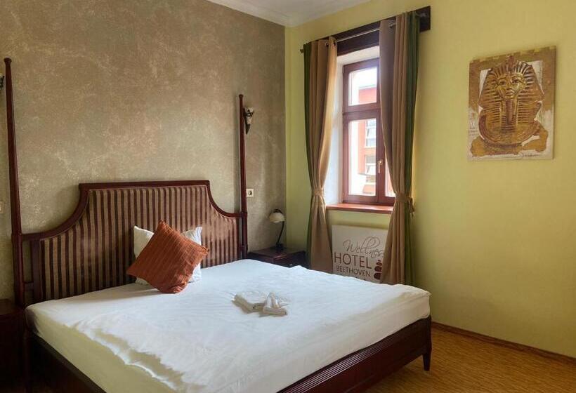 Номер Стандарт, Wellness Hotel Beethoven