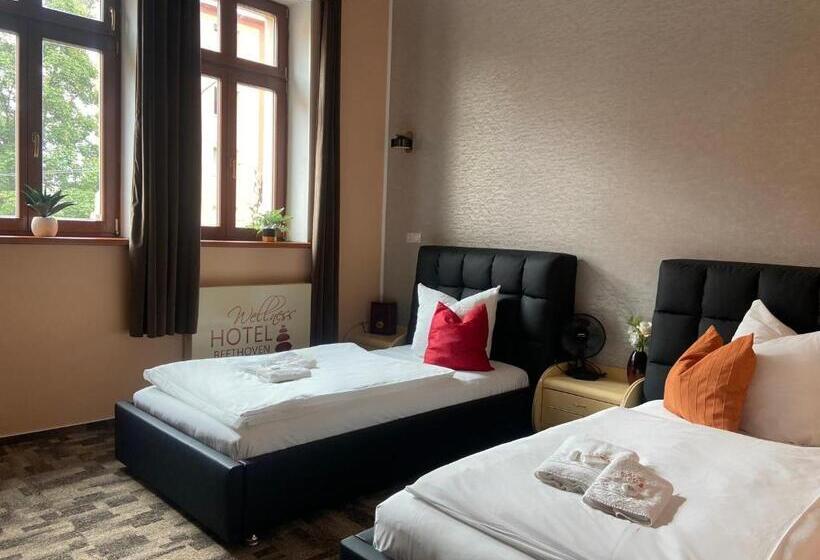 标准间, Wellness Hotel Beethoven