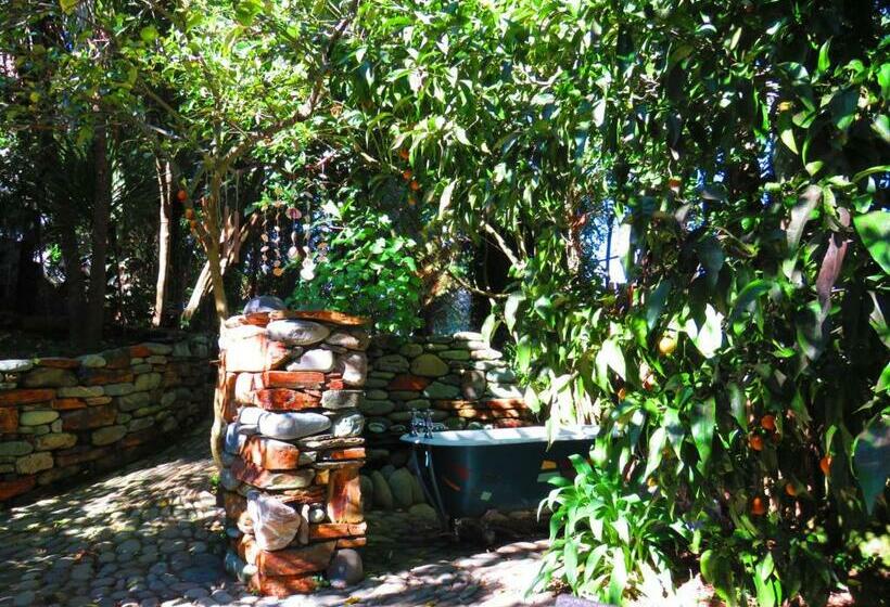 Номер Стандарт, Shady Rest Bed & Breakfast