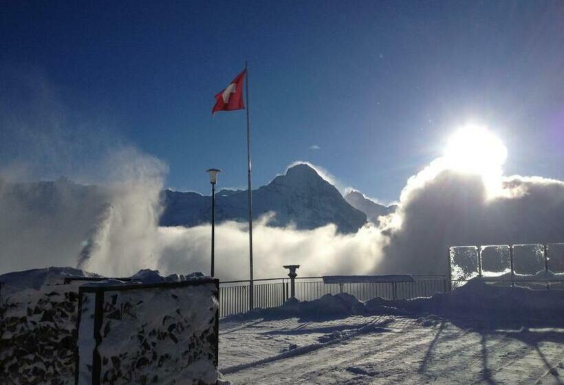 تختخواب در اتاق مشترک, Berggasthaus First   Only Accessible By Cable Car