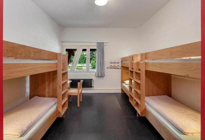 Кровать в Общей Комнате, Baden Youth Hostel