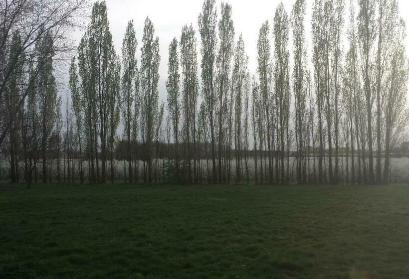 חדר סופריור עם מיטת קינג, B&b Johannes Hoeve