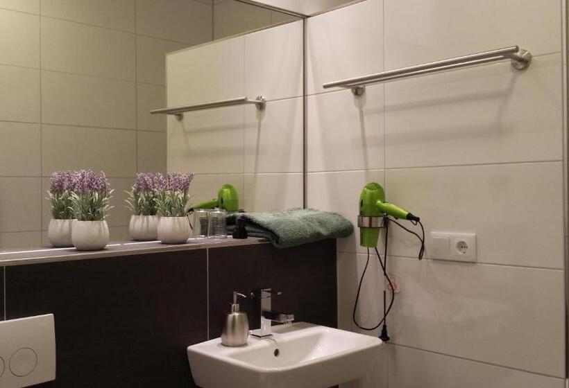 高级大房间, B&b Johannes Hoeve