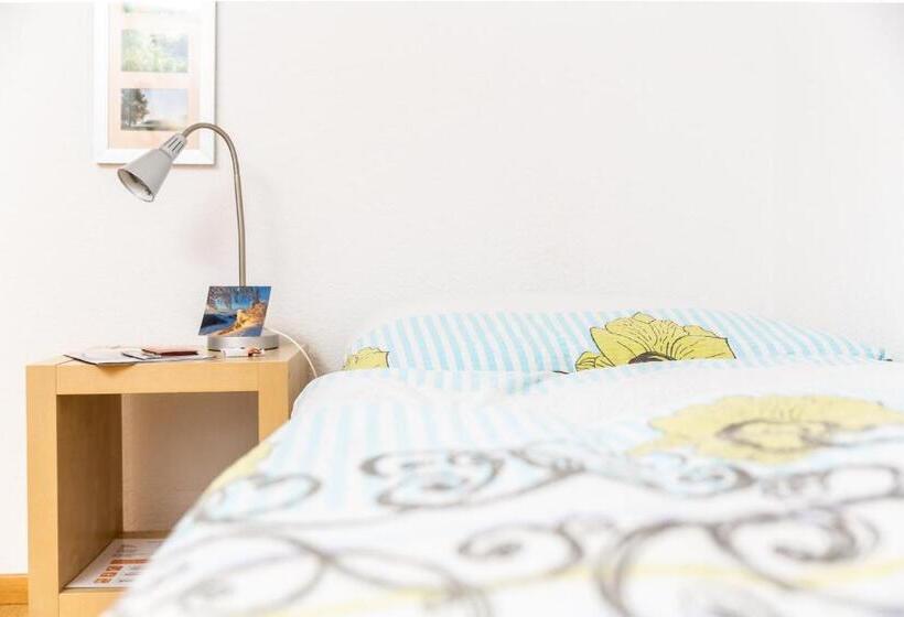 バスルーム共有のシングルスタンダード, Mybednbreakfast In Bottmingen