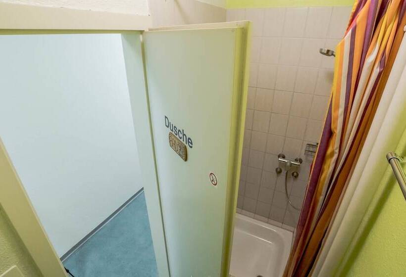 غرفة قياسية فردية حمام مشترك, & Backpackers Zak Schaffhausen