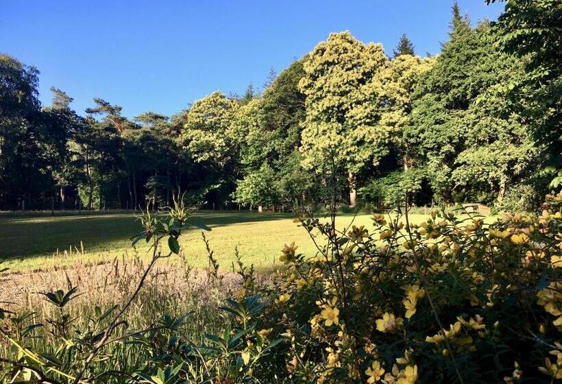 豪华房间, B&b En Boshuis Darthuizerpoort