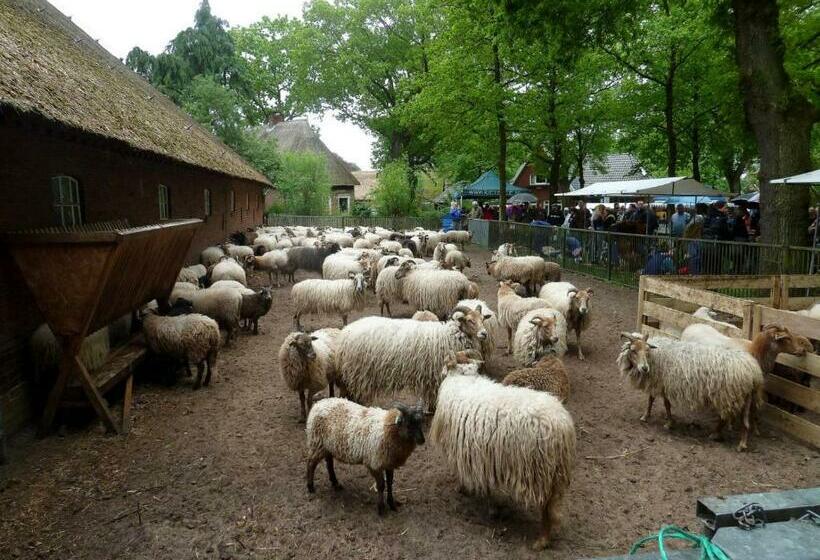 اتاق استاندارد, Wapen Van Exloo