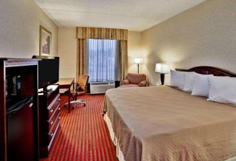 스탠다드 룸 킹사이즈 침대, Quality Inn & Suites