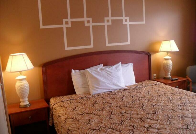 스탠다드 룸 킹사이즈 침대, Forest Plaza Motel