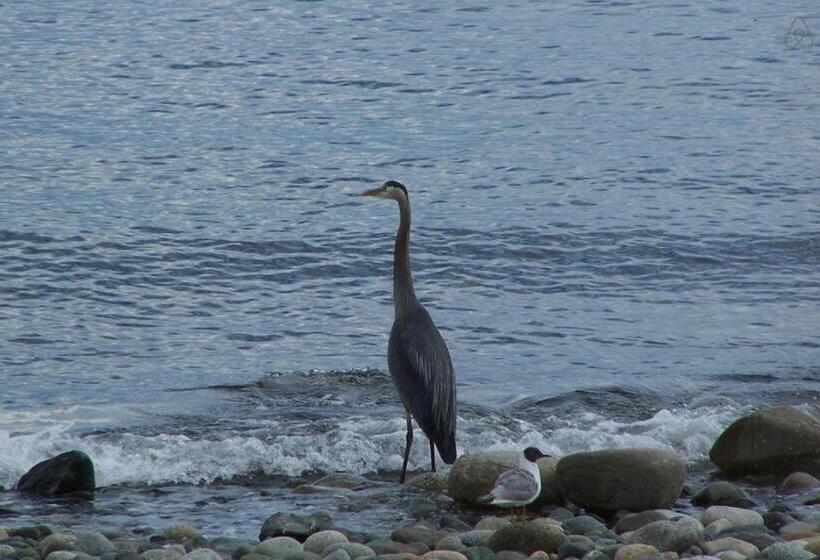 带2个卧室的套房, Qualicum Breeze Beach Resort