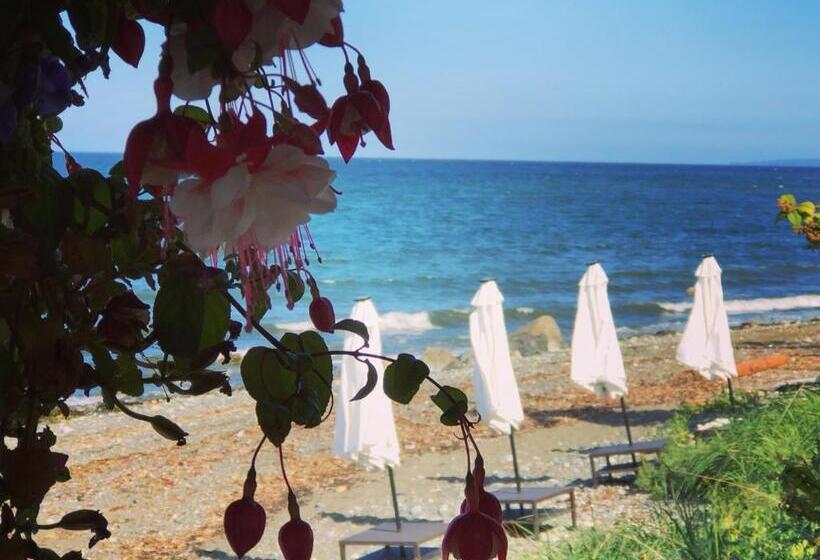 套房, Qualicum Breeze Beach Resort