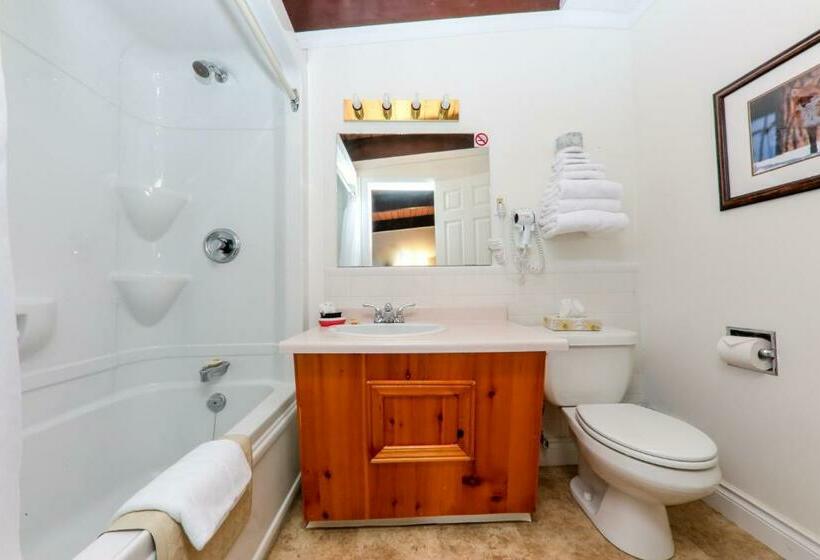 غرفة ديلوكس, Lakeview Motel