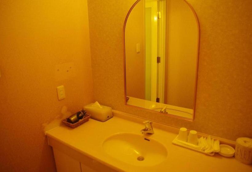 Номер Deluxe, Gifu Castle Inn