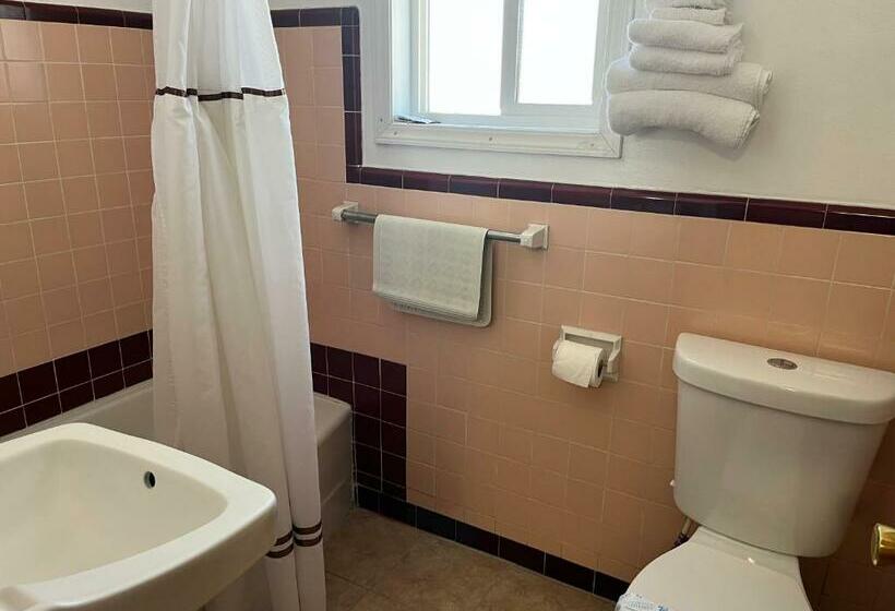اتاق استاندارد یک نفره, Holiday Motel