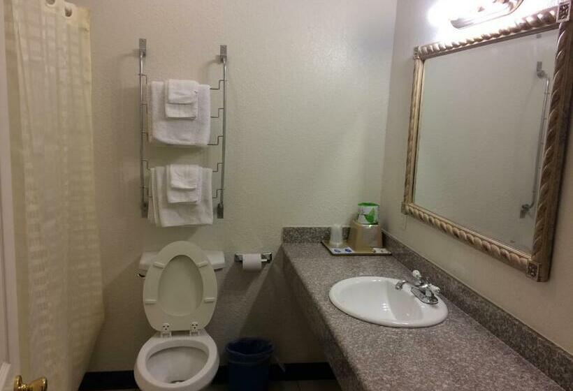 Номер Стандарт Индивидуальный Кровать Кинг, Country Regency Inn & Suites