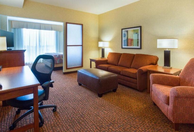 חדר דחוקס עם מיטת קינג, Drury Plaza Hotel Mt Vernon