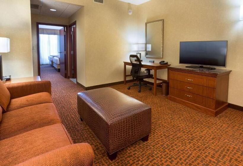 סוויטה, Drury Plaza Hotel Mt Vernon
