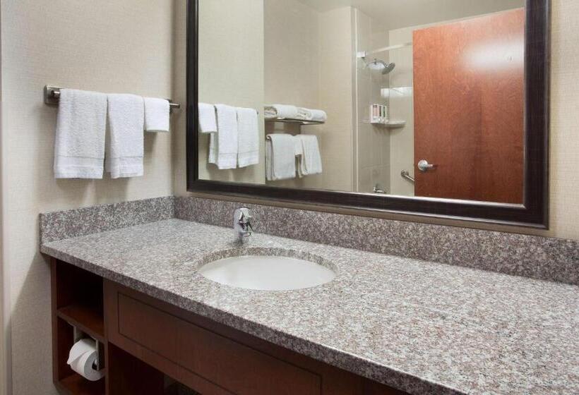 סטודיו סטנדרט, מיטה זוגית, Drury Plaza Hotel Mt Vernon