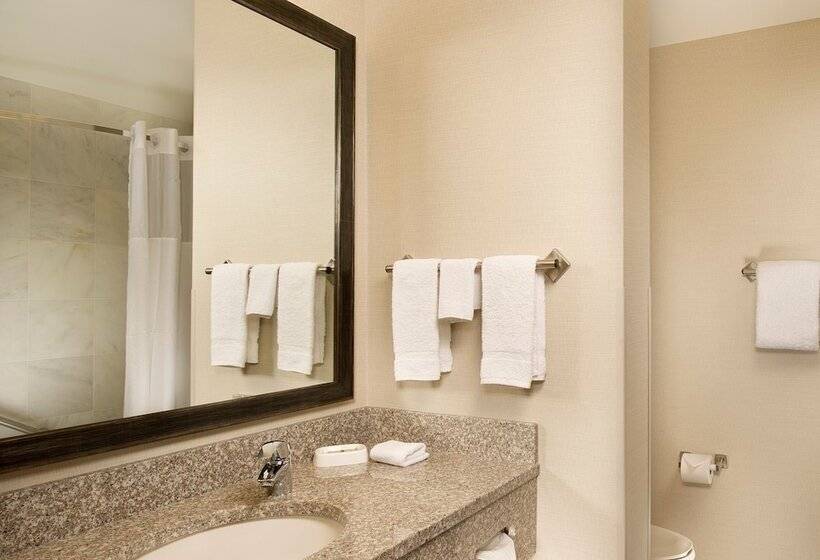 חדר דלוקס, Drury Plaza Hotel Mt Vernon