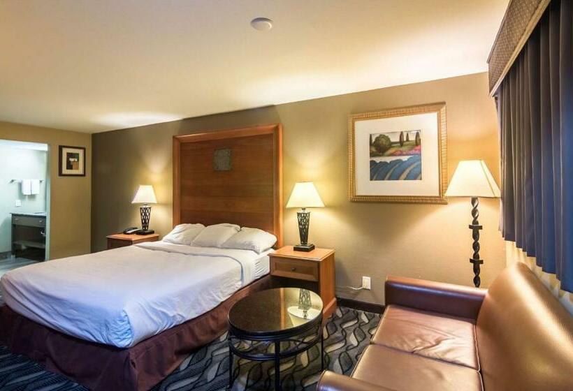 Номер Deluxe Кровать Кинг, Motel 6 snyder, Tx