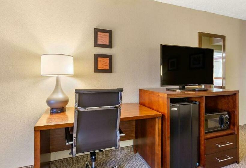 带大床的标准间, Comfort Inn Aikens Center