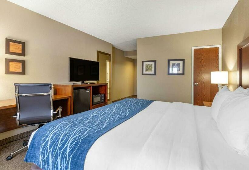 适合残疾人士使用的带超级大床的标准间, Comfort Inn Aikens Center