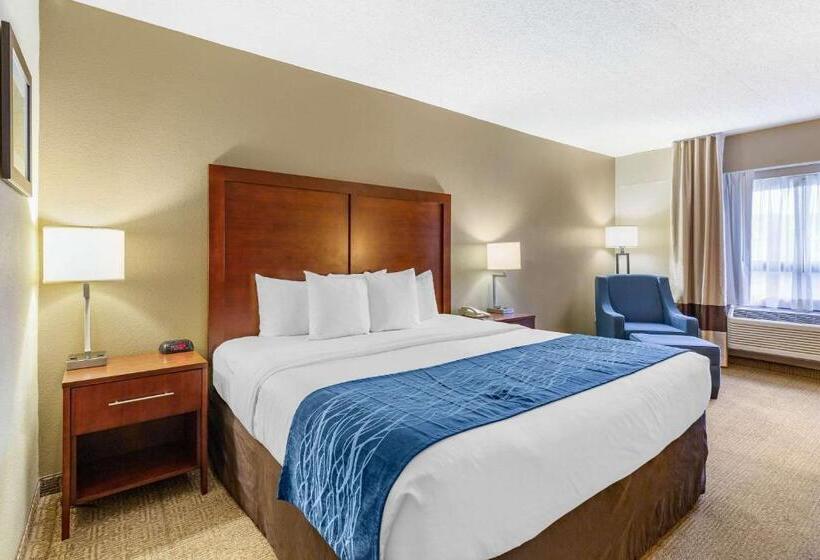 带大床的套房, Comfort Inn Aikens Center