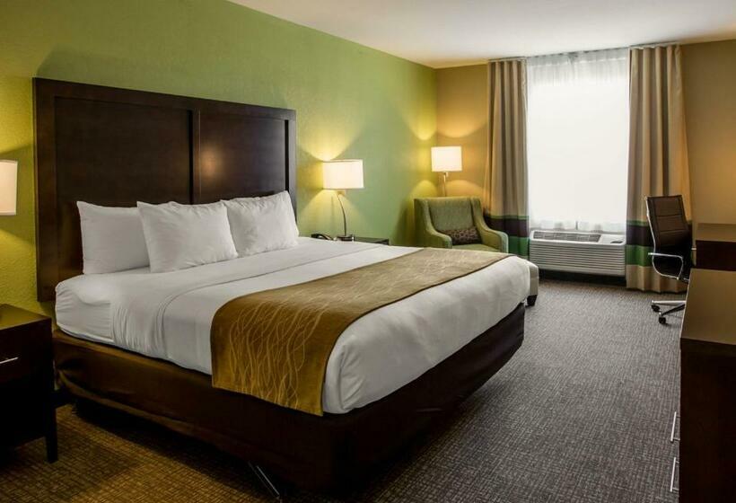 스탠다드 룸 킹사이즈 침대, Comfort Inn Sylva   Cullowhee